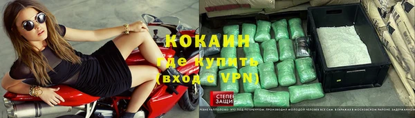 стаф Тында