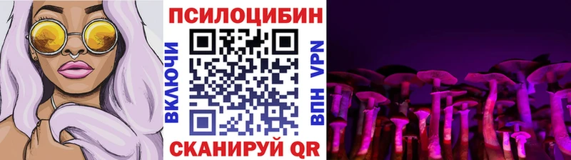 это формула  OMG маркетплейс  Казань  Псилоцибиновые грибы GOLDEN TEACHER 